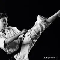 极真空手道是什么流派