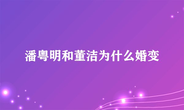 潘粤明和董洁为什么婚变