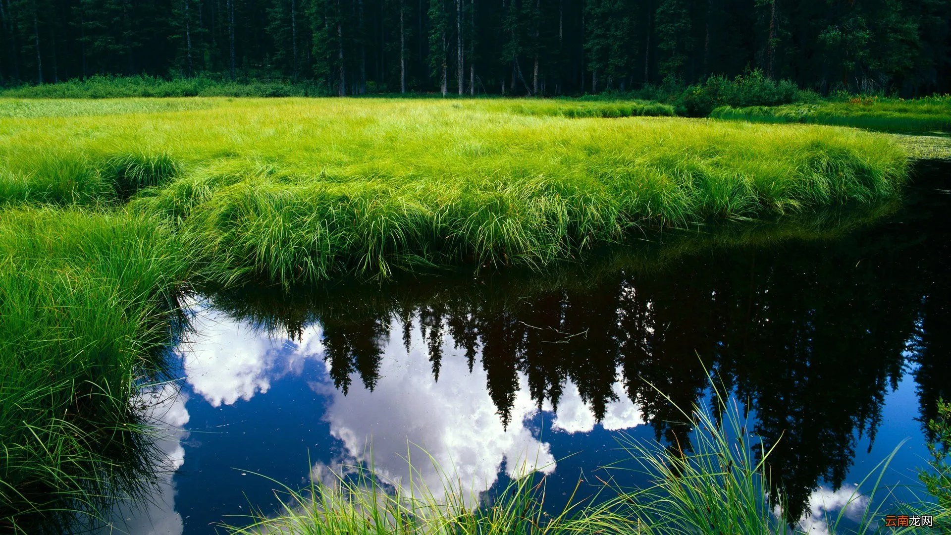 方糖和方糖R的区别 方糖和方糖r的区别