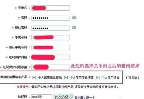 个人信用查询系统  网上怎么查个人信用
