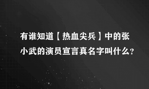 有谁知道【热血尖兵】中的张小武的演员宣言真名字叫什么？