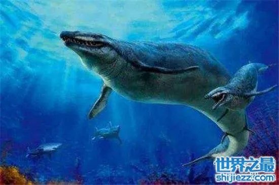 伊西斯龙王鲸是一种远古生物，曾是海洋中的霸主 