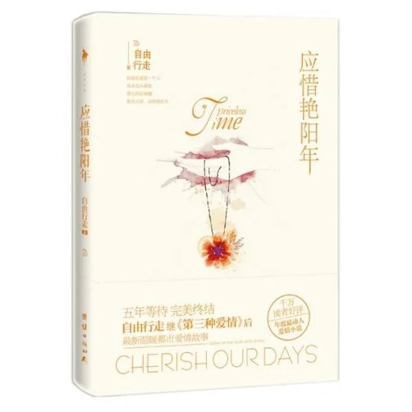 应惜艳阳年的内容简介