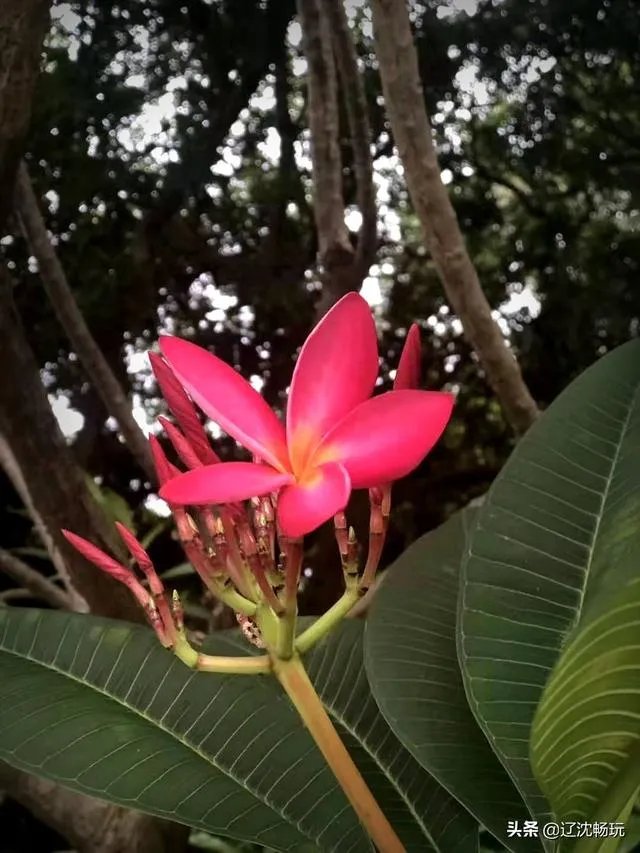 沈阳世博园怎么样?