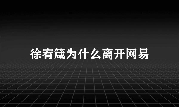 徐宥箴为什么离开网易