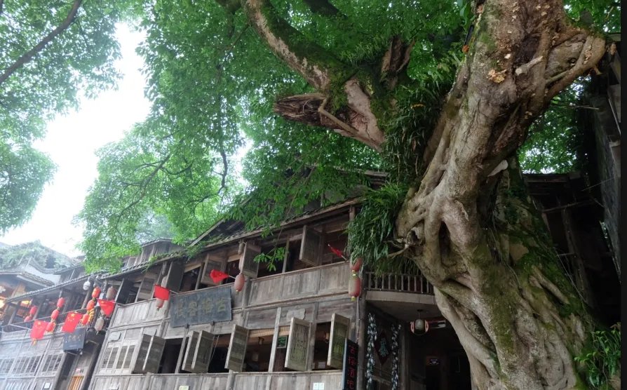 没有黄龙溪和洛带繁华，却是成都周边最美的古镇，这是为何？