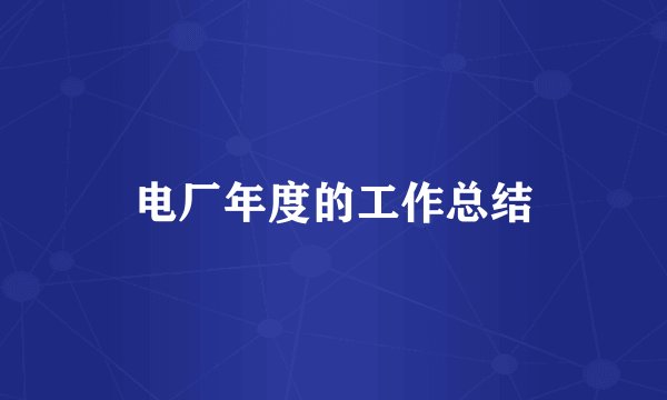 电厂年度的工作总结
