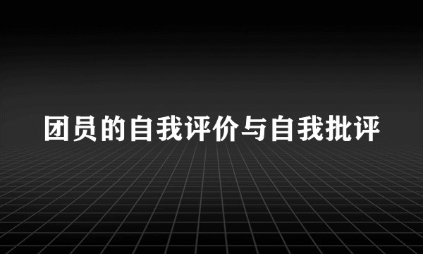 团员的自我评价与自我批评