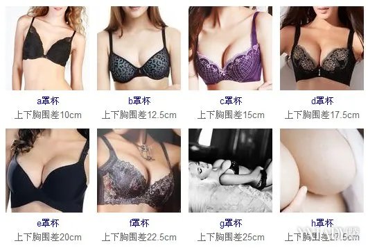 胸部罩杯大小示意图让你一次性了解罩杯知识