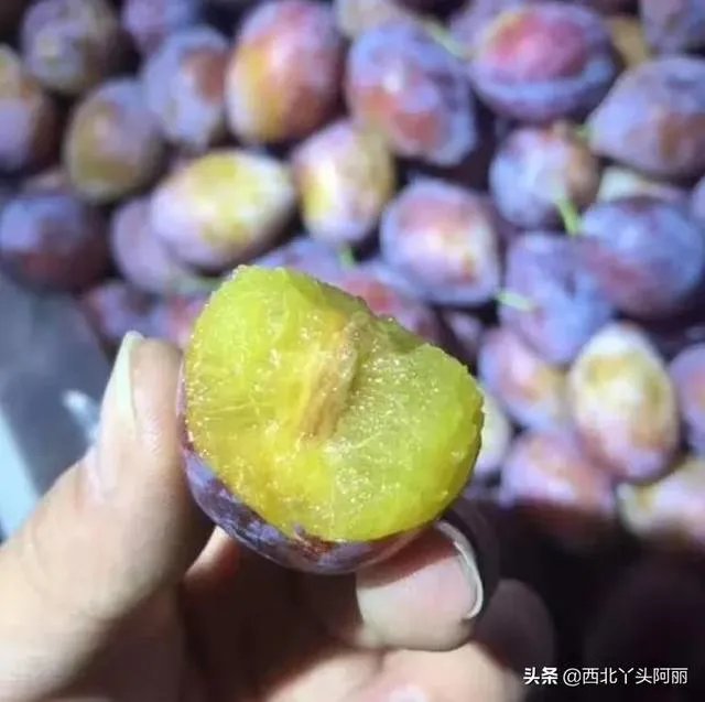 西梅是澳洲还是智利的好