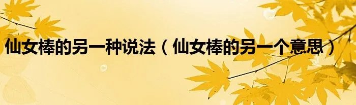 仙女棒的另一种说法（仙女棒的另一个意思）