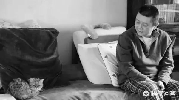 有谁知道作家王朔的近况吗?