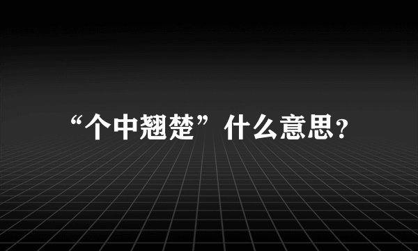 “个中翘楚”什么意思？