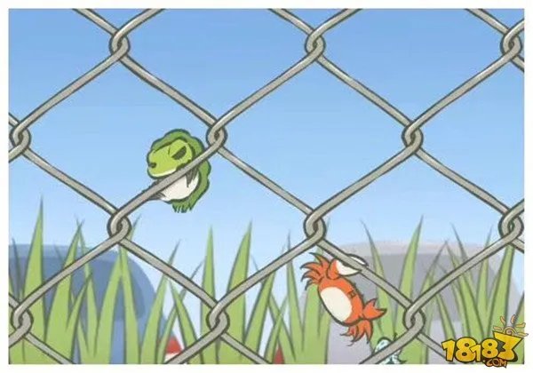 旅行青蛙写真大全 旅行照片寄语全收录