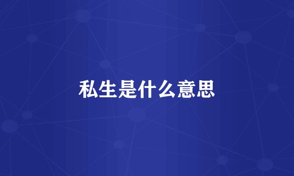 私生是什么意思
