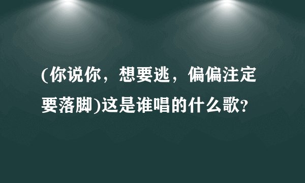 (你说你，想要逃，偏偏注定要落脚)这是谁唱的什么歌？