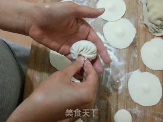 如何捏出漂亮的包子褶------仅供参考