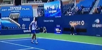 明明是无意击中底线女线审，裁判直接将德约科维奇美网资格取消，这个处罚符合规则么？