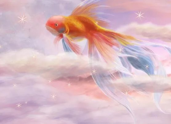 金鱼只有7秒记忆的含义 金鱼的记忆只有七秒是真的吗