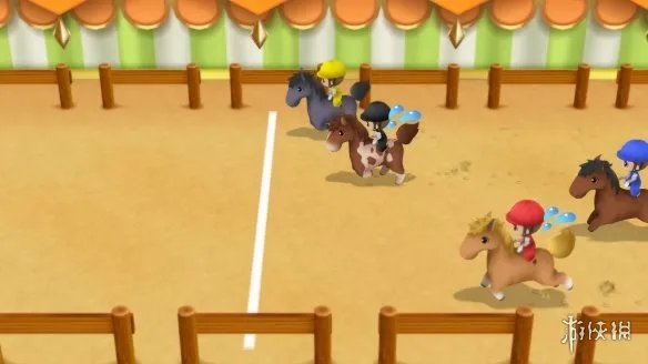 《牧场物语再会矿石镇》力之果实在哪获得 力之果实获取位置分享