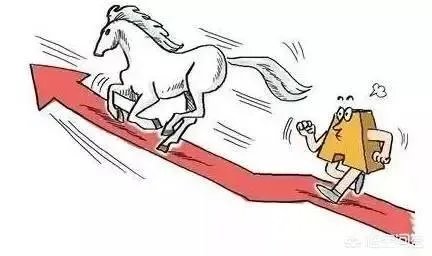 从格力电器到伊利股份，白马股轮番急跌是什么原因？