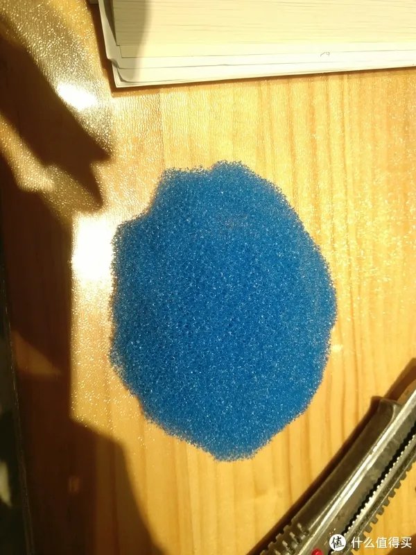 造景 篇一：小白也能玩草缸—聊一聊我的水草缸造景历程