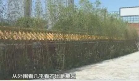 收楼发现是墓景房,该怎么办?