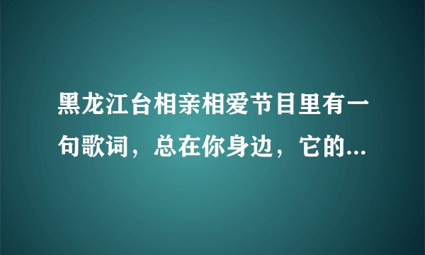 黑龙江台相亲相爱节目里有一句歌词，总在你身边，它的歌曲名是什么？