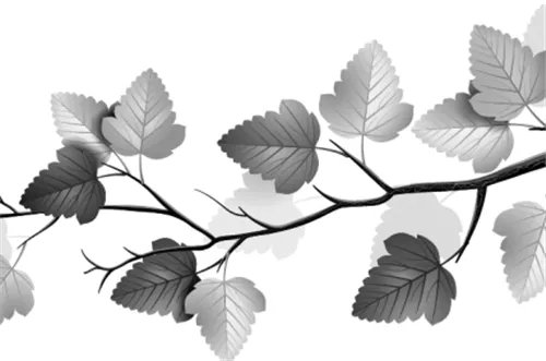 PS笔刷如何安装 笔刷分为哪几种