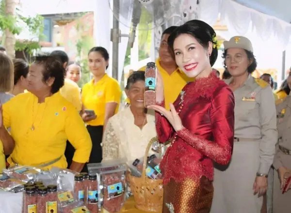 泰国国王带诗妮娜视察她曾被关监狱，诗妮娜曾遭受了怎样的委屈？