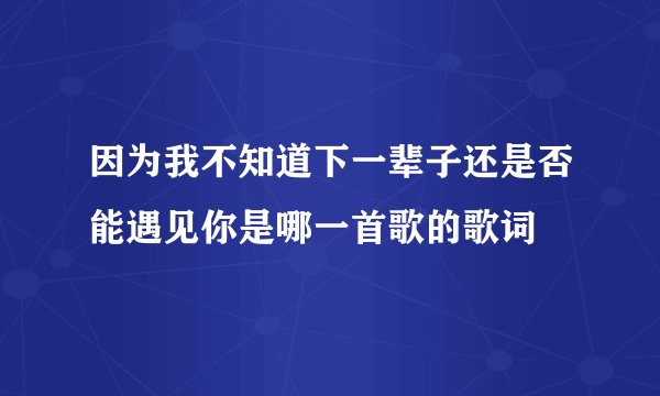 因为我不知道下一辈子还是否能遇见你是哪一首歌的歌词