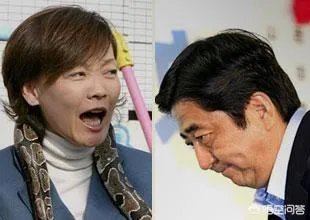 安倍夫人被软禁你怎么看？