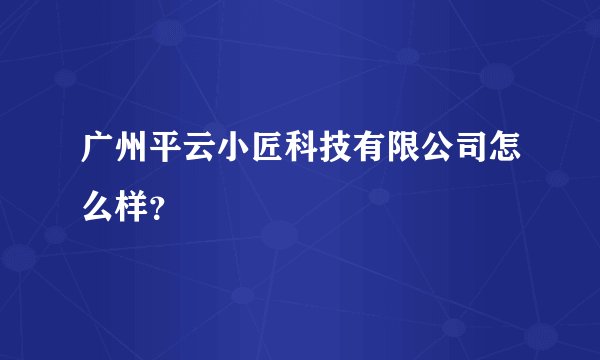 广州平云小匠科技有限公司怎么样？