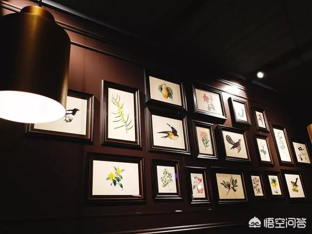 有哪些好吃的明星餐厅可以推荐？