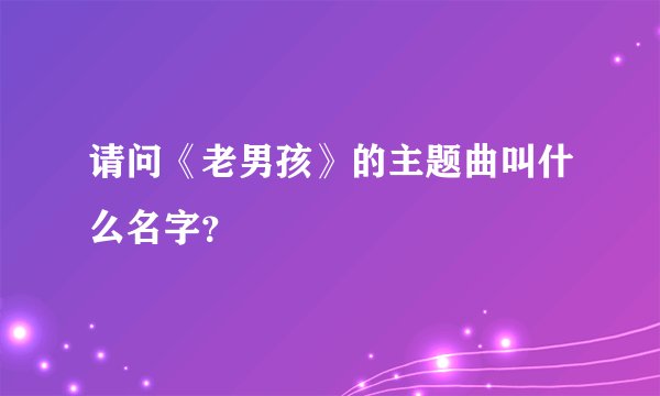 请问《老男孩》的主题曲叫什么名字？