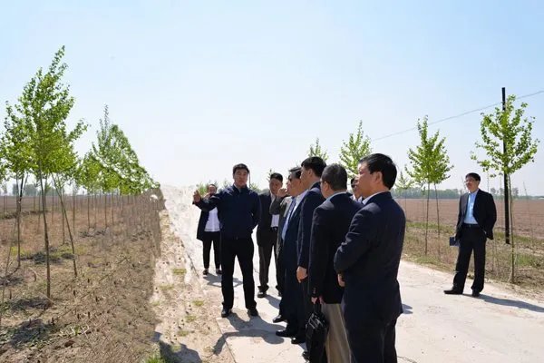 香港中华煤气有限公司的内地业务