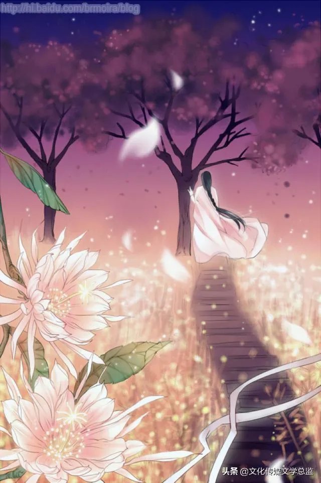 网红遍地主播横行,是谁成全了谁?互联网对社会,科学,教育有贡献吗?