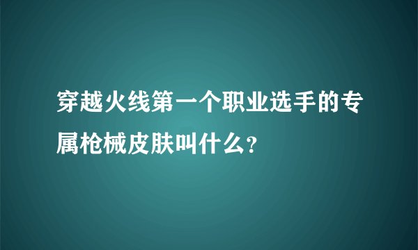 穿越火线第一个职业选手的专属枪械皮肤叫什么？