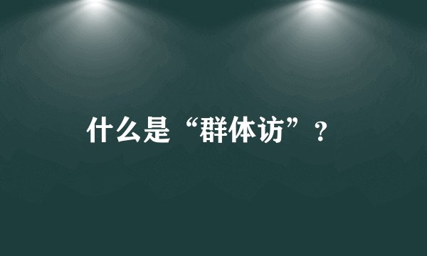 什么是“群体访”？