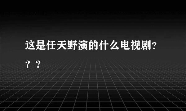 这是任天野演的什么电视剧？？？