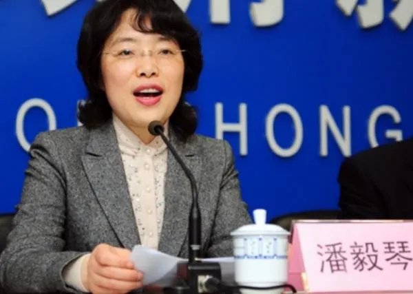 重庆市潘毅琴简历