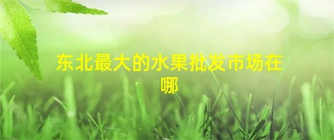 东北最大的水果批发市场在哪