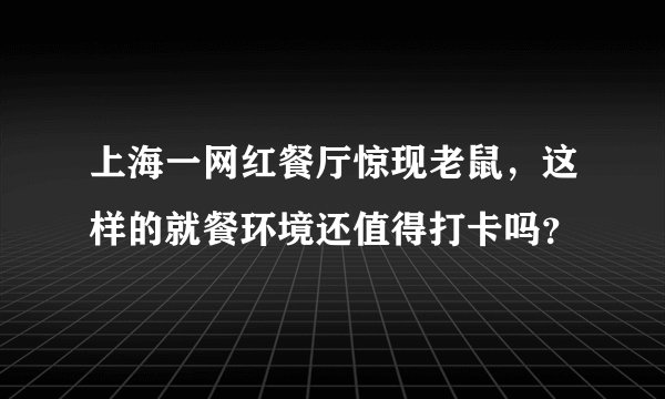 上海一网红餐厅惊现老鼠，这样的就餐环境还值得打卡吗？