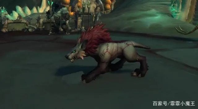 魔兽世界9.0猎人宠物排行攻略