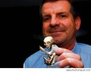 外星人宝宝的外星人宝宝-简介