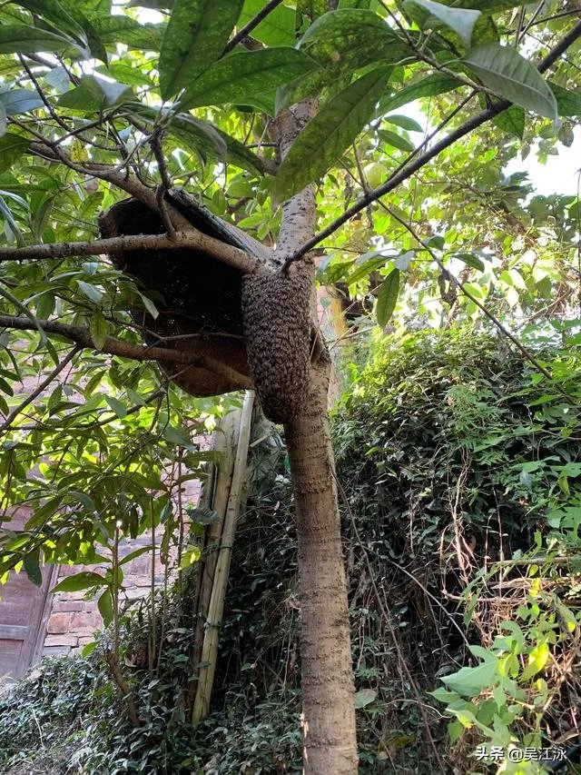 哪些平台可以找到注塑订单？