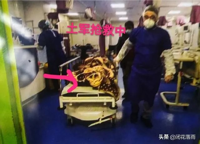 土耳其军事行动的感想