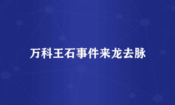 万科王石事件来龙去脉