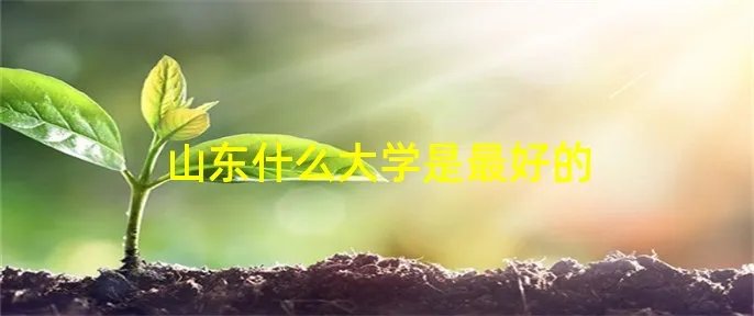 山东什么大学是最好的