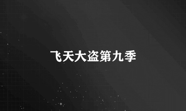 飞天大盗第九季